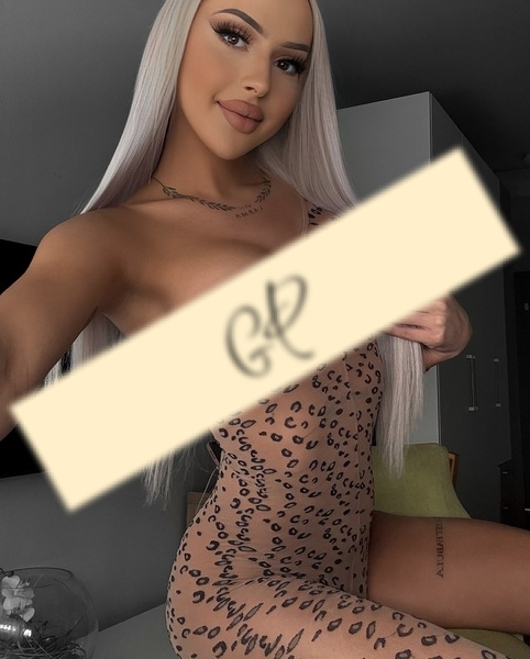 ELISA NEW ❌